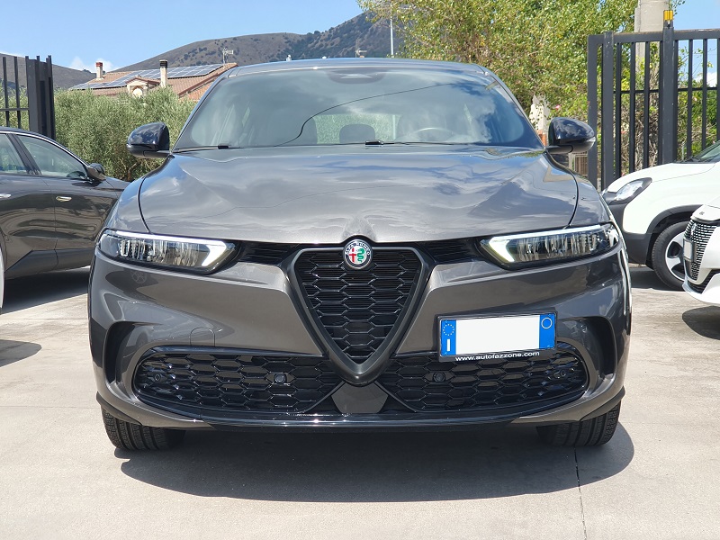 
								ALFA ROMEO Tonale 1.6 Diesel 130CV S&S TCT6 Sprint full									
