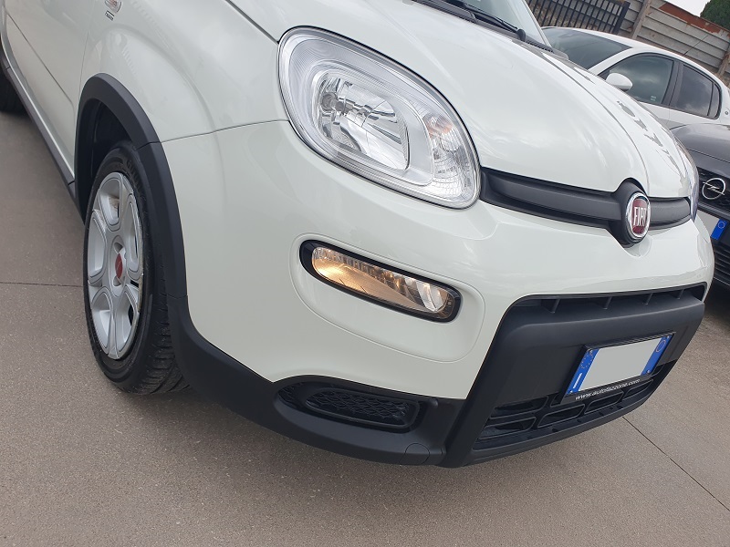 
								FIAT Panda 1.0 FireFly 70CV S&S Hybrid MY24 full									