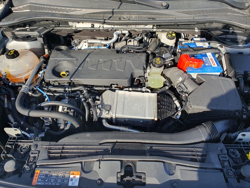 
								FORD Kuga 2.0 EcoBlue 150CV Mild-Hybrid 2WD Titanium full									