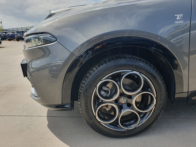 
								ALFA ROMEO Tonale 1.3 PHEV 280CV AT6 Q4 Ti full									